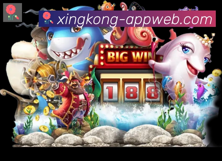 实时数据中心